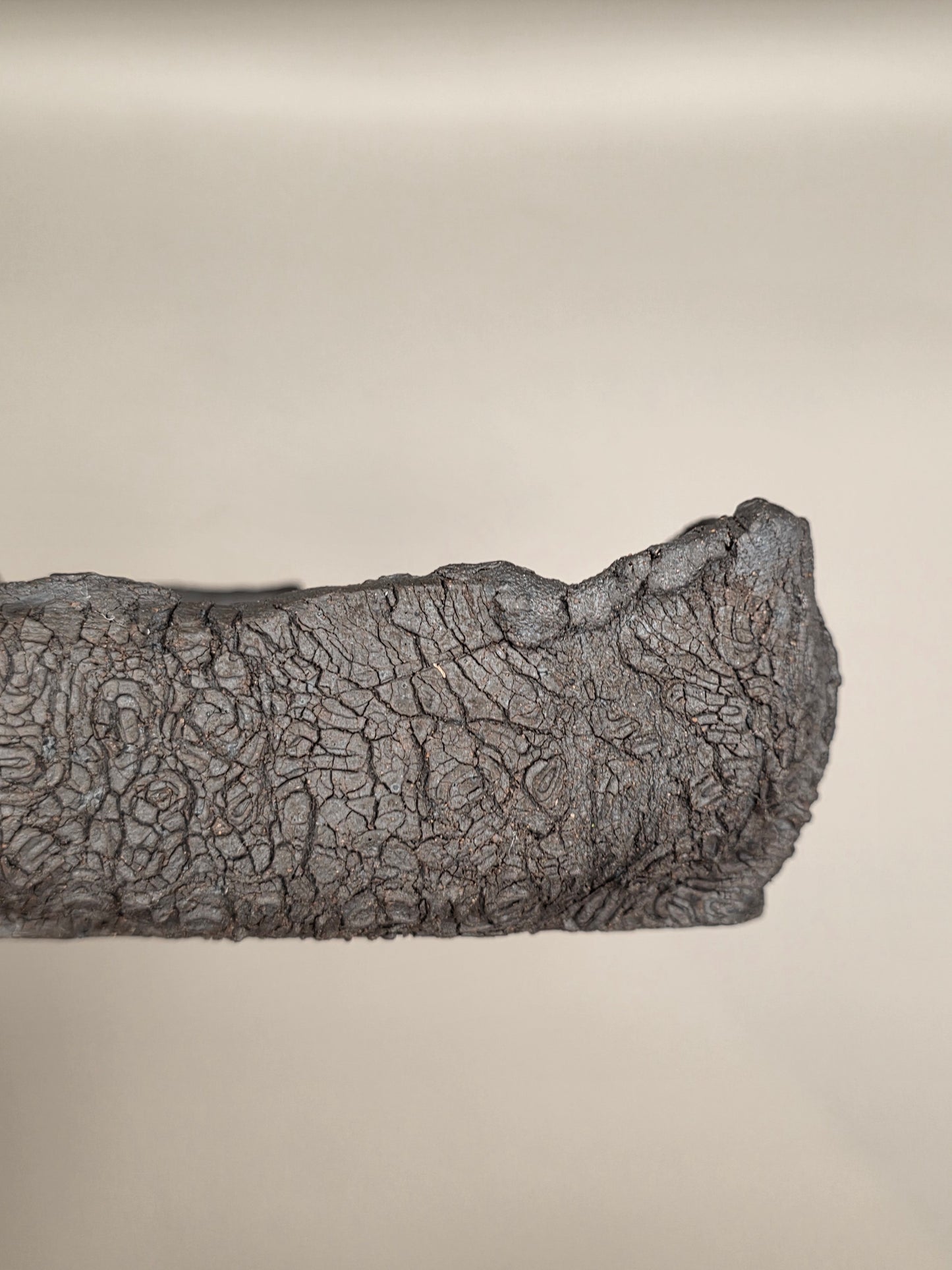 Handmade Ceramic Bonsai Pot #36 by Rough Cut Pottery