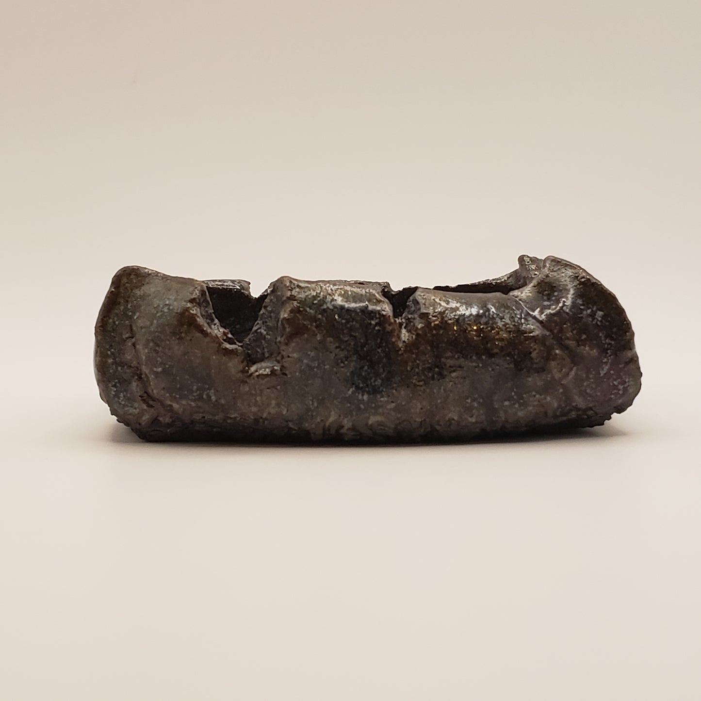 Maceta Bonsái de Cerámica Hecha a Mano #13 de Rough Cut Pottery