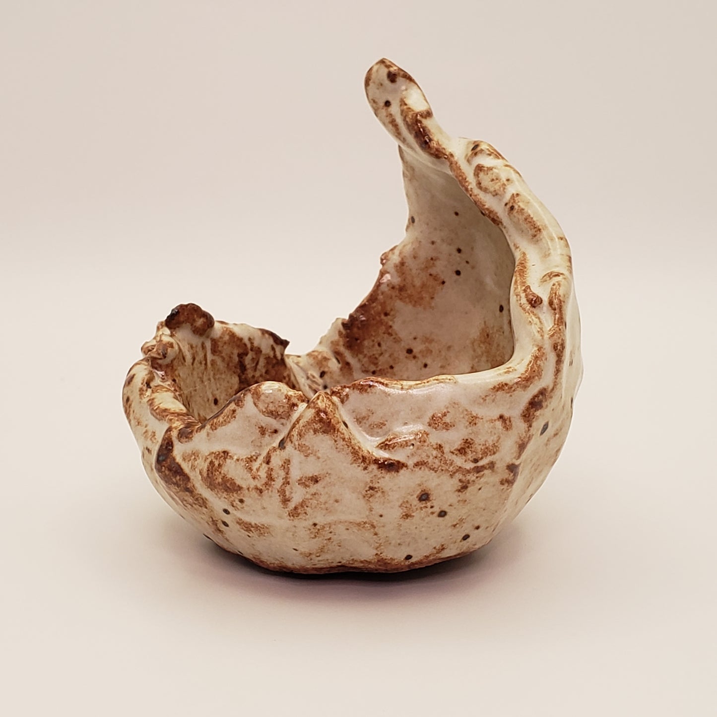 Maceta de bonsái de cerámica hecha a mano n.° 2 de Rough Cut Pottery