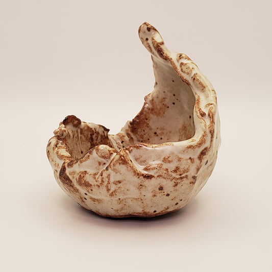 Handmade Ceramic Bonsai Pot #2 by Rough Cut Pottery